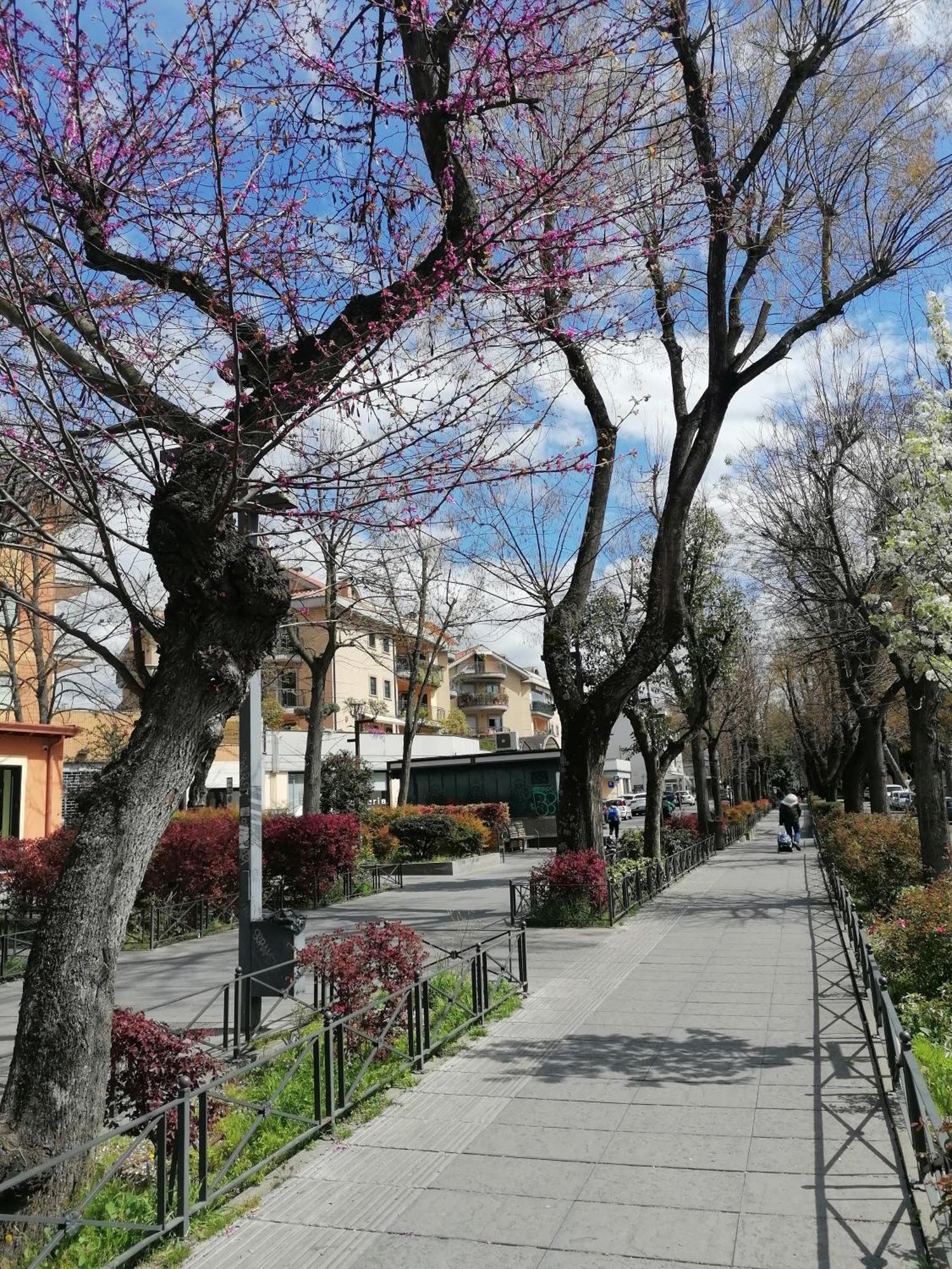 La Passeggiata Apartment Monterotondo  Bagian luar foto